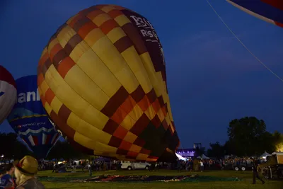 DSC_2408 (Large).JPG